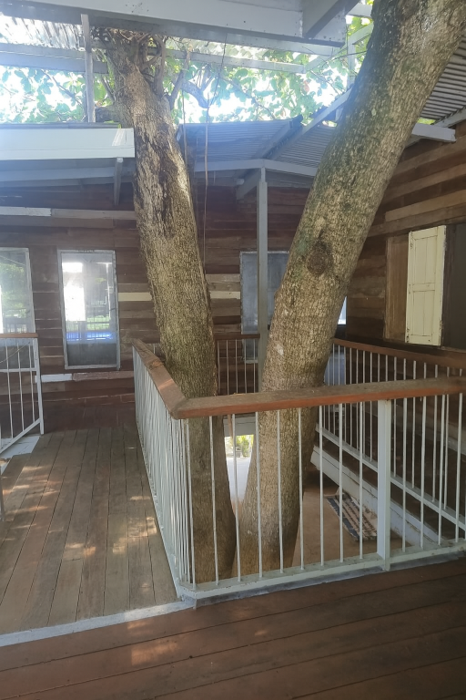 Monkey House Hostel & Guest House