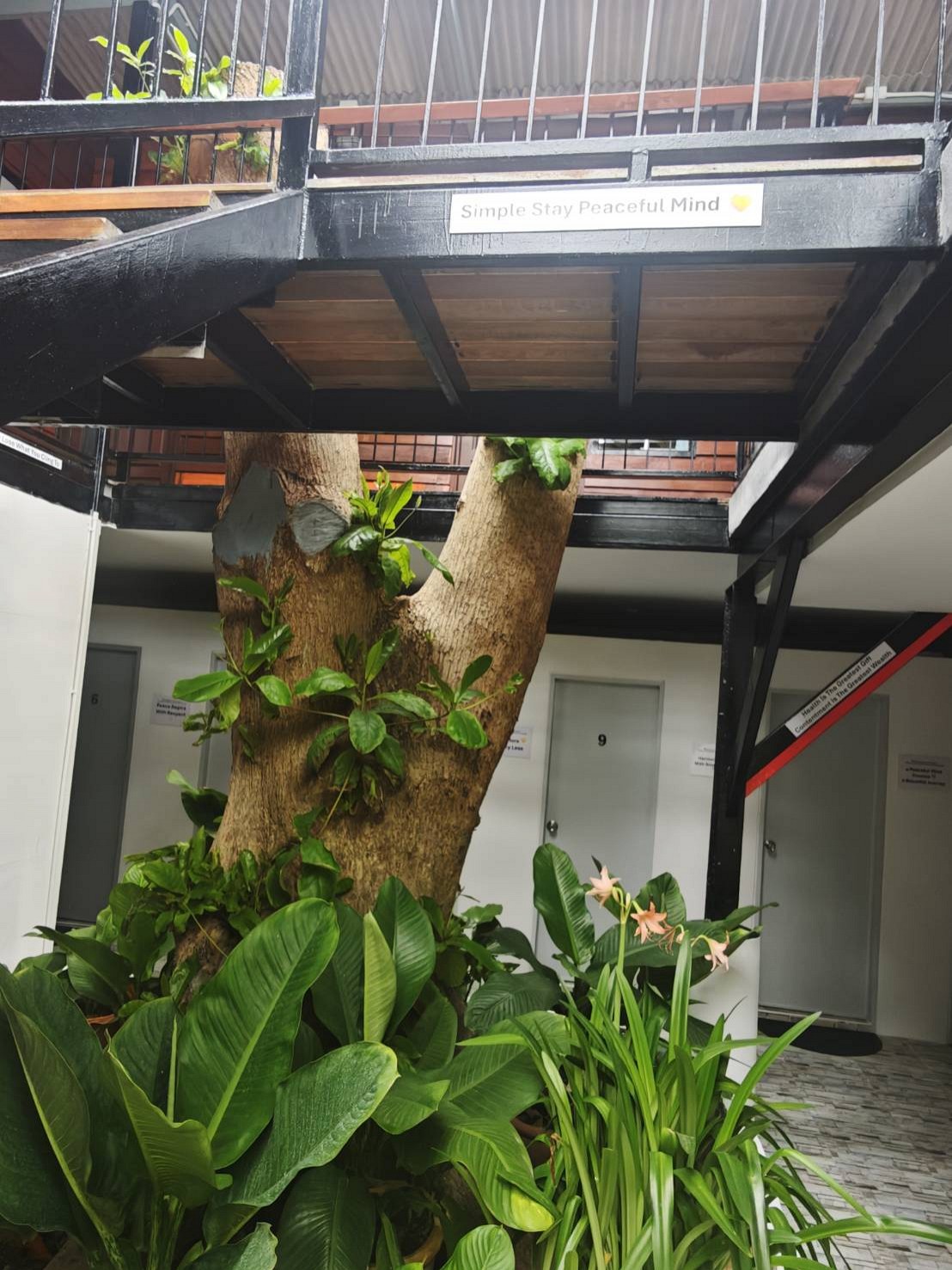 Monkey House Hostel & Guest House