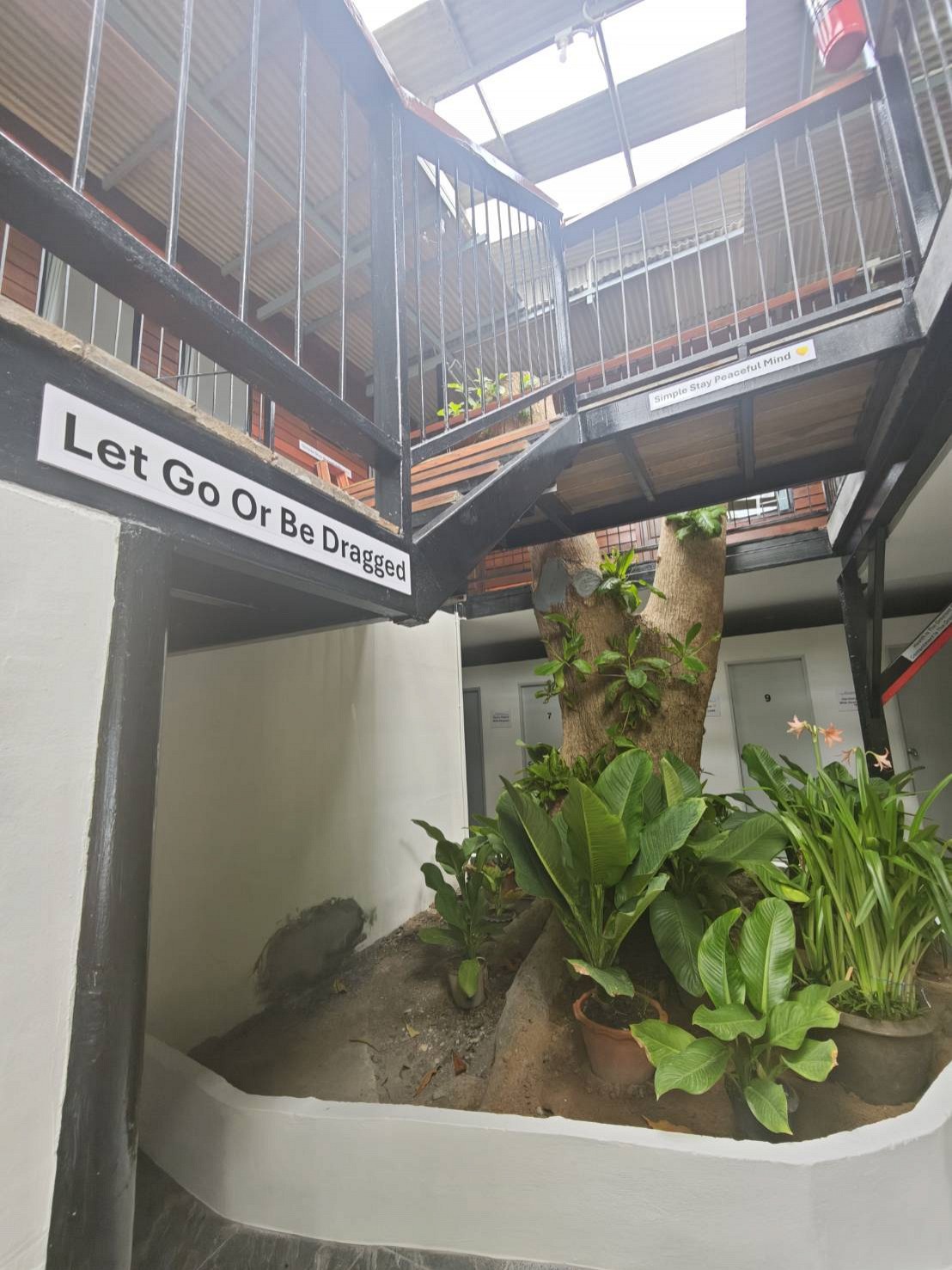 Monkey House Hostel & Guest House