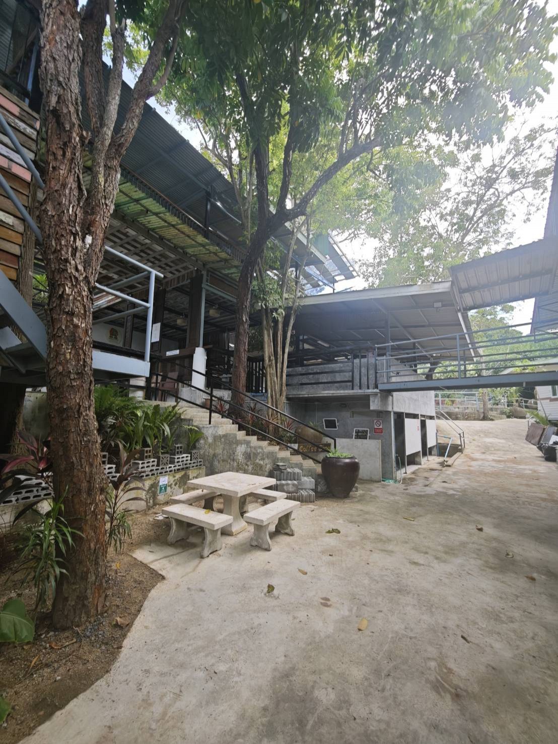 Monkey House – Budget Friendly Boutique Stay in Koh Samui