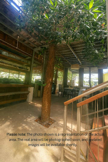 Monkey House Hostel & Guest House