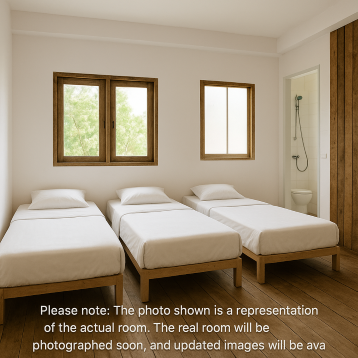 Monkey House – Budget Friendly Boutique Stay in Koh Samui