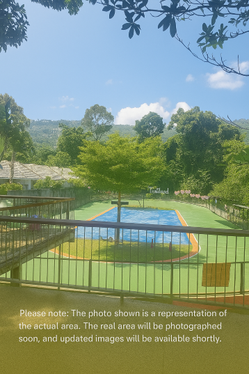 Inline Roller Skating Track